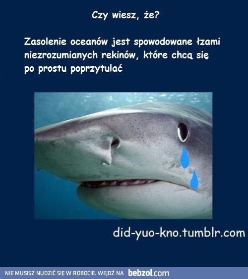 Od tej strony go nie znałem