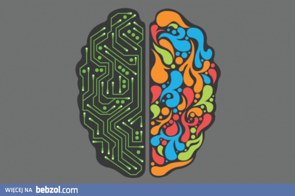 Z której części korzystasz?