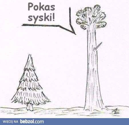 Zboczona propozycja
