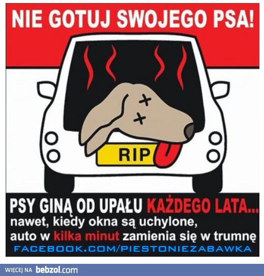 Przekaż to wszystkim!