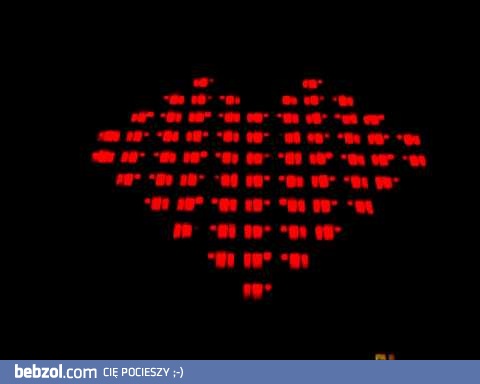 Oświadczyny po studencku