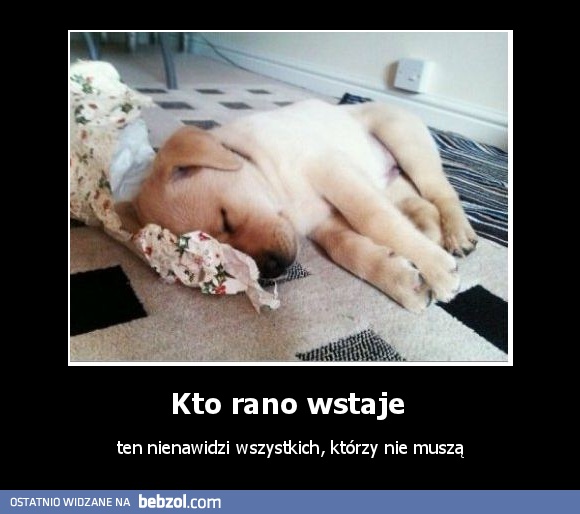 Kto rano wstaje 