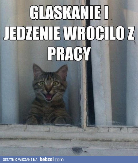Kiedy wracam do domu