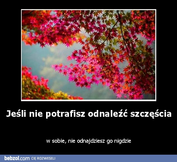 Jeśli nie potrafisz odnaleźć szczęścia 
