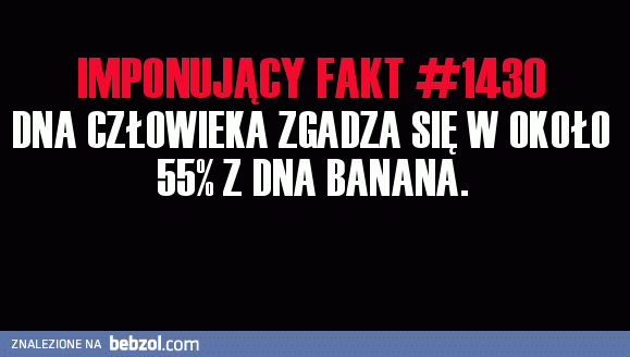 Imponujący fakt o DNA