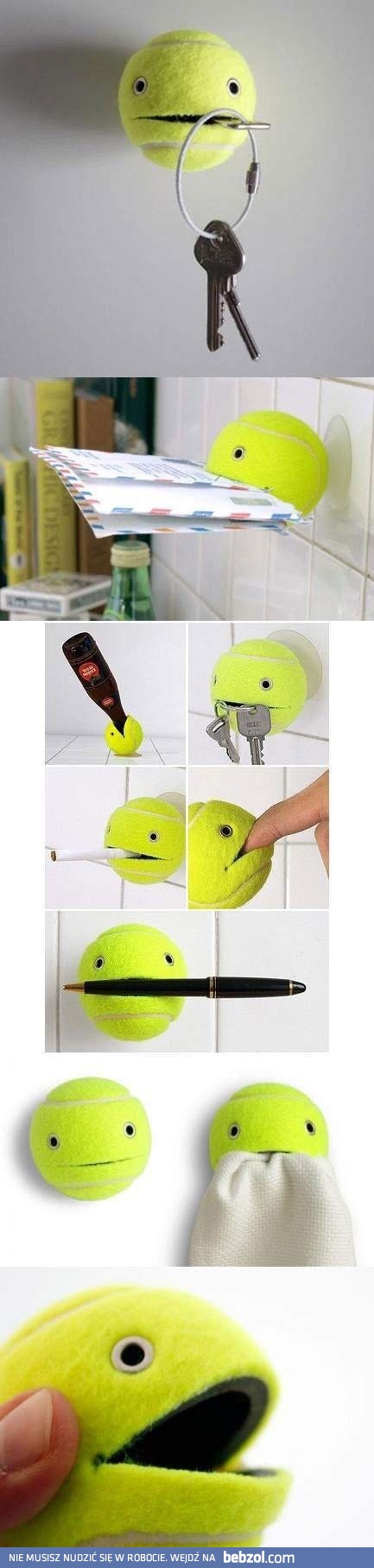 Nietypowe zastosowanie kortówki