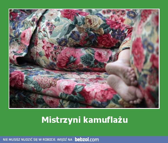 Mistrzyni kamuflażu