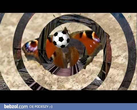 Piosenka na wypadek porażki biało-czerwonych