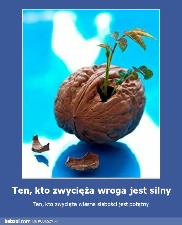 Ten, kto zwycięża wroga jest silny