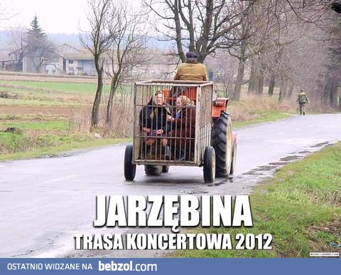Jarzębina w trasie koncertowej