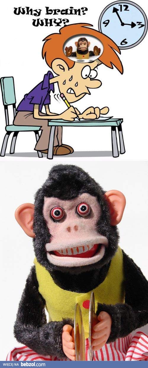Mózgu, dlaczego mi to robisz?!