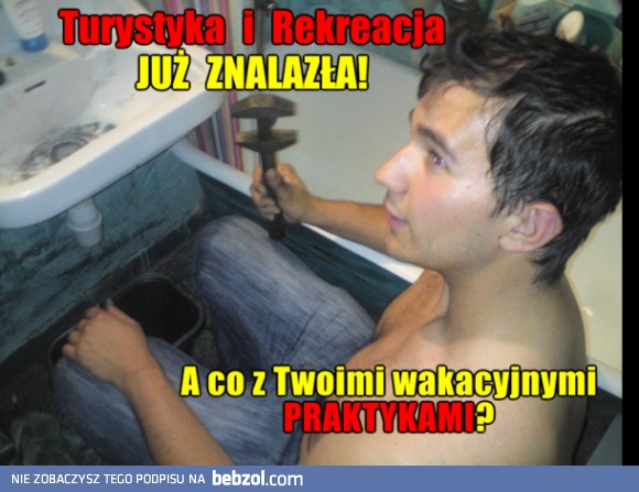 Praktyki po studiach