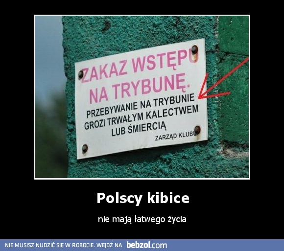 Polscy kibice