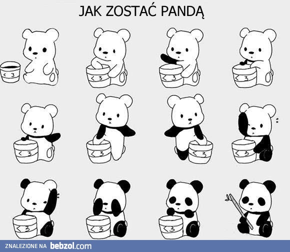 Jak zostań Pandą?