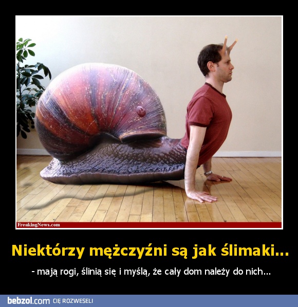 Niektórzy mężczyźni są jak ślimaki...