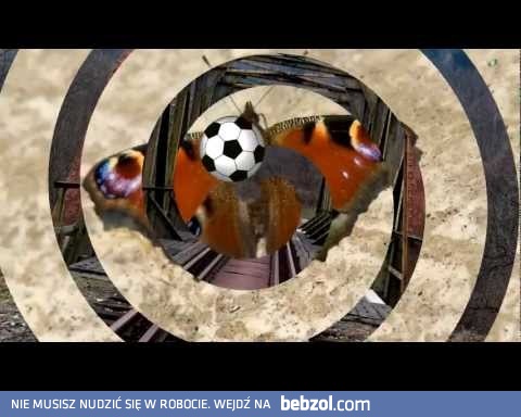 Piosenka Na Wypadek Porażki Biało-Czerwonych