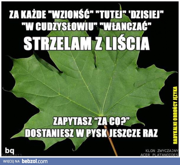 Dostaniesz z liścia!
