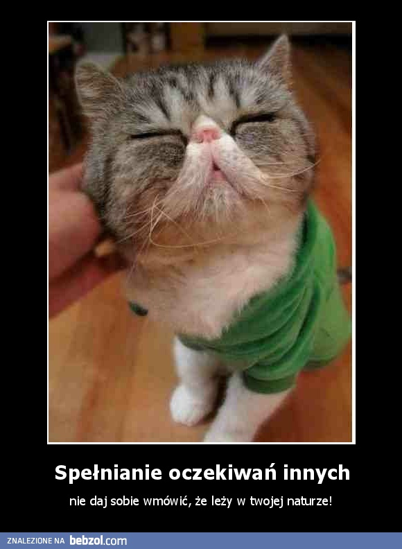 Spełnianie oczekiwań innych