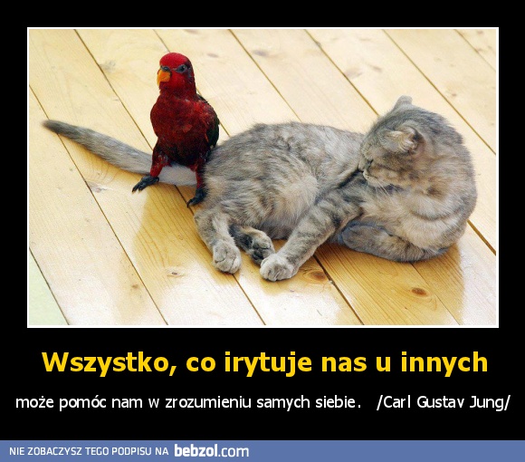 Wszystko, co irytuje nas u innych