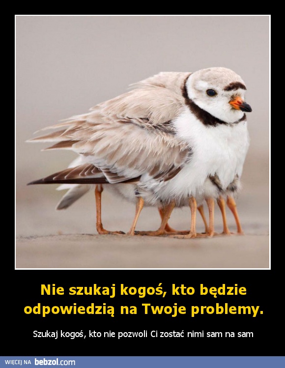 Nie szukaj kogoś, kto będzie odpowiedzią na Twoje problemy.