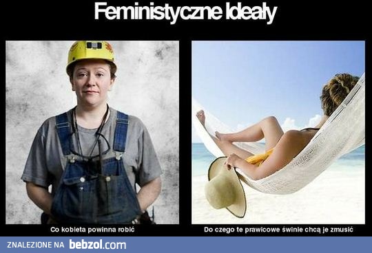 Feministyczne ideały