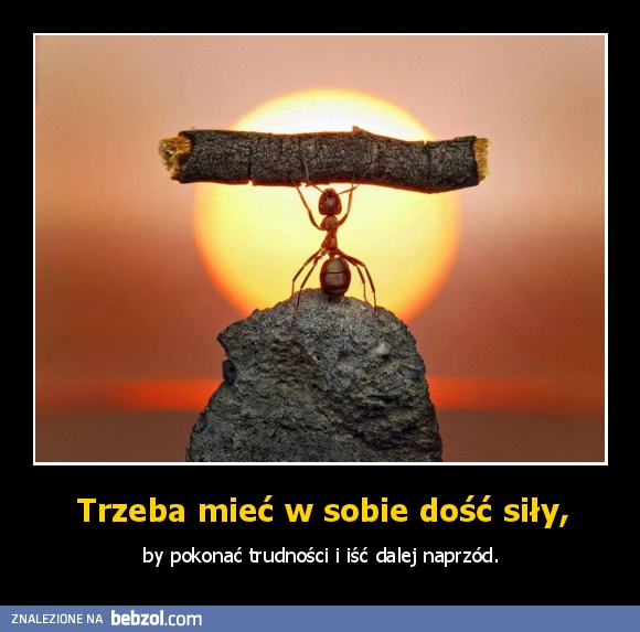 Trzeba mieć w sobie dość siły,