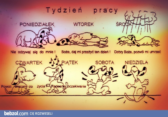 Tydzień  pracy