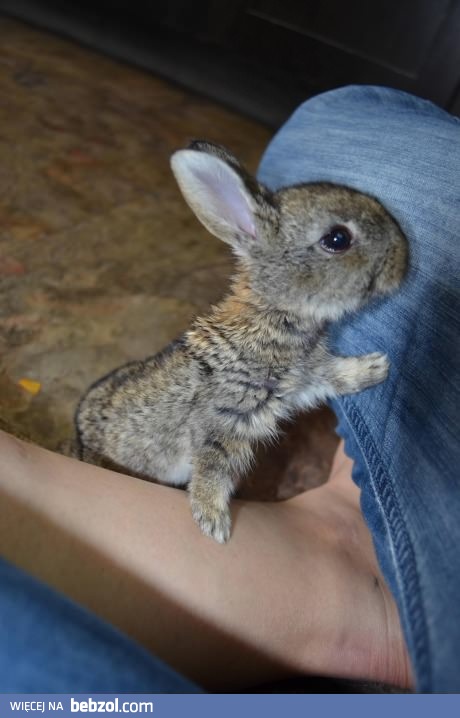 Ale nie zostawisz mnie, prawda?