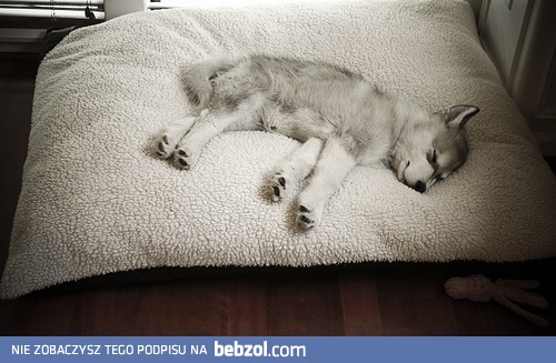 Nie mów do mnie z rana