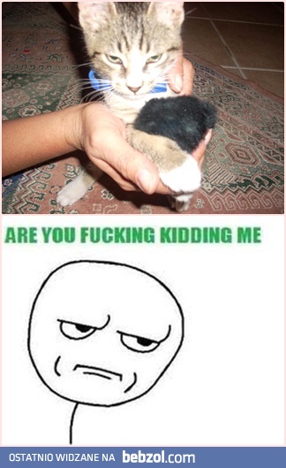 jaja sobie ze mnie robisz? 