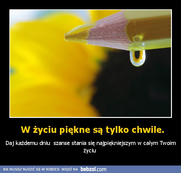  W życiu piękne są tylko chwile.