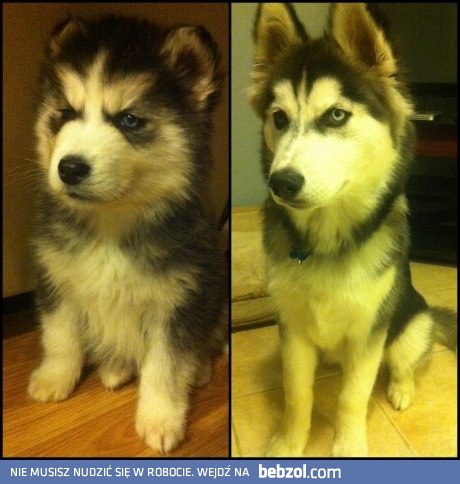 4 miesiące robią różnicę