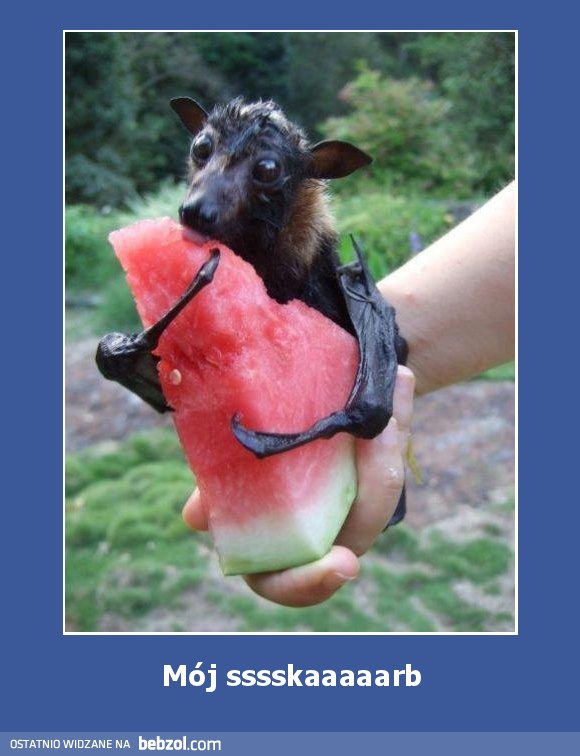 Mój sssskaaaaarb