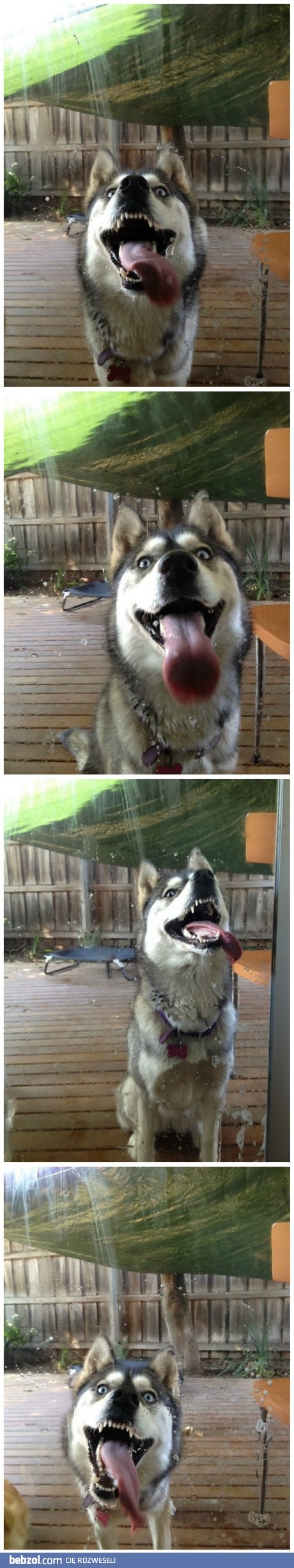 Ktoś zamawiał mycie okien?