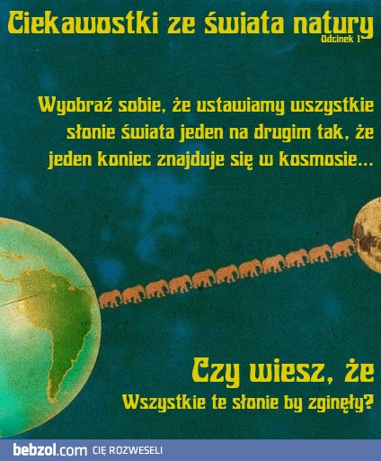 Ciekawostka ze świata natury