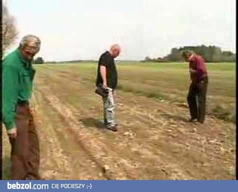 Dzika krowa robi wszystkich w konia