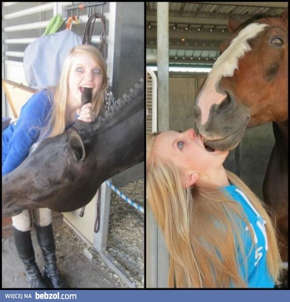 Takie tam ze zwierzakami