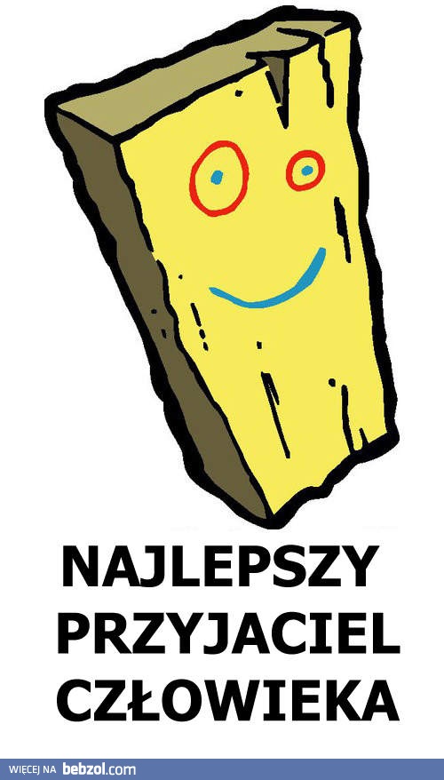 Najlepszy przyjaciel człowieka