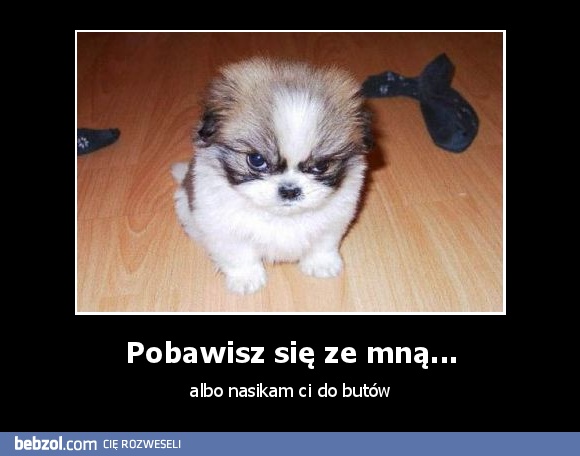 Pobawisz się ze mną...