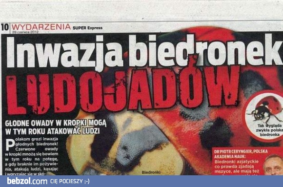 Ratuj się kto może!