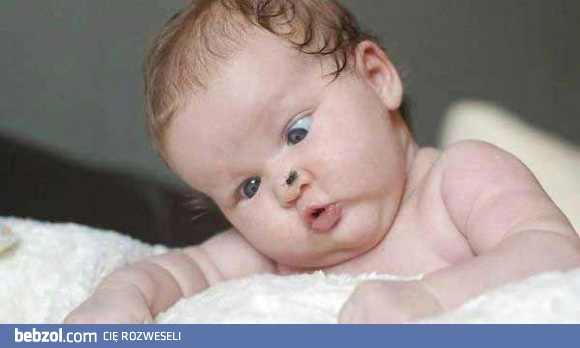 Zełaź z mojego nosa, muho jedna!