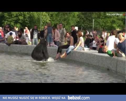 Atak Goryla w Warszawie - S. A. Wardęga