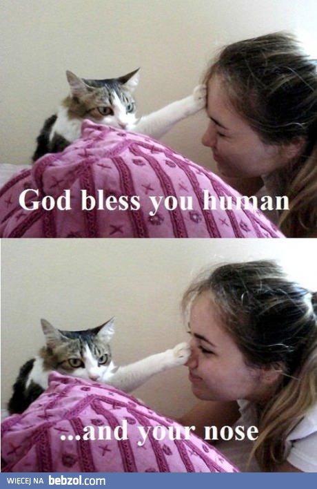 Kocie błogosławieństwo