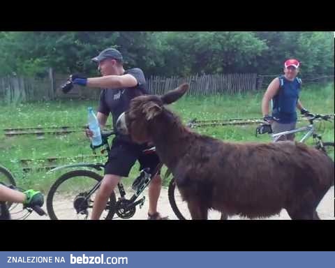 Kto popija piwo wodą mineralną?!