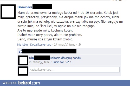 Kotek do przechowania