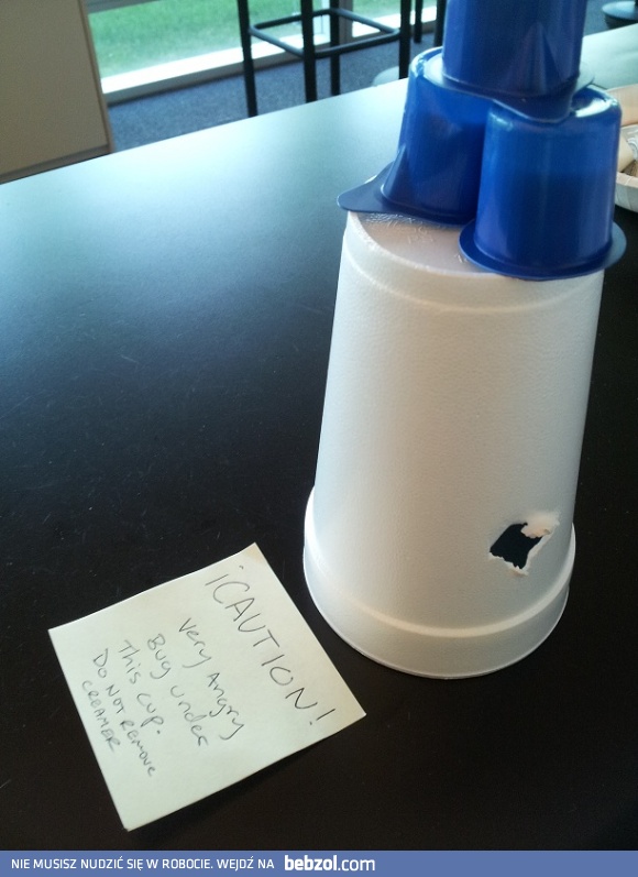 Bardzo zły robal pod kubkiem!