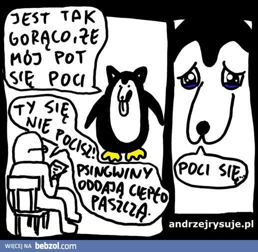 Jest tak ciepło, że aż...