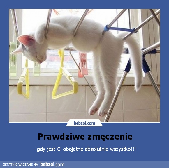 Prawdziwe zmęczenie