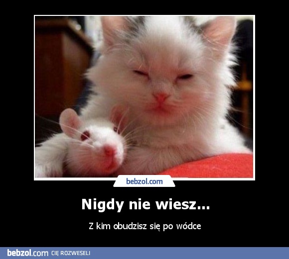 Nigdy nie wiesz...