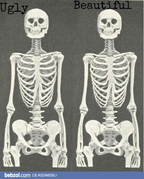 Brzydki i ładny